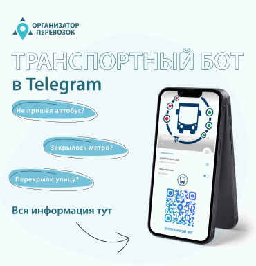 Социальный проект «Чат-бот»